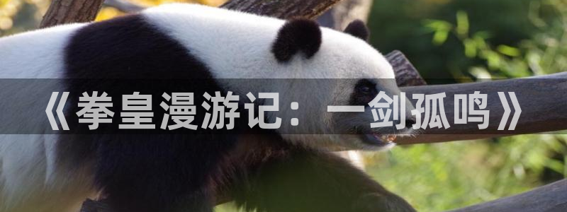 有天堂漫画：《拳皇漫游记：一剑孤鸣》