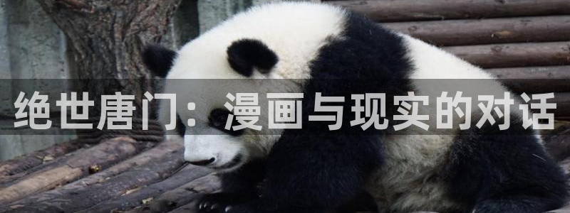 天堂漫画回家的路：绝世唐门：漫画与现实的对话