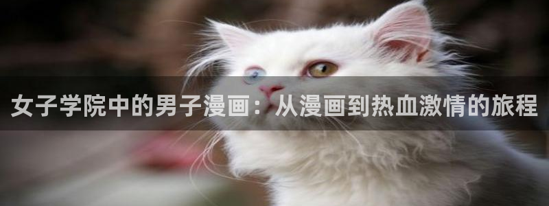 动漫天堂软件怎么下载安装手机版：女子学院中的男子漫画：从漫画到热血激情的旅程