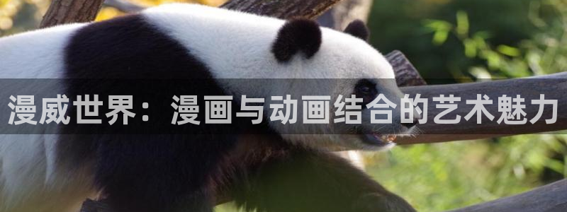 平行天堂漫画191：漫威世界：漫画与动画结合的艺术魅力