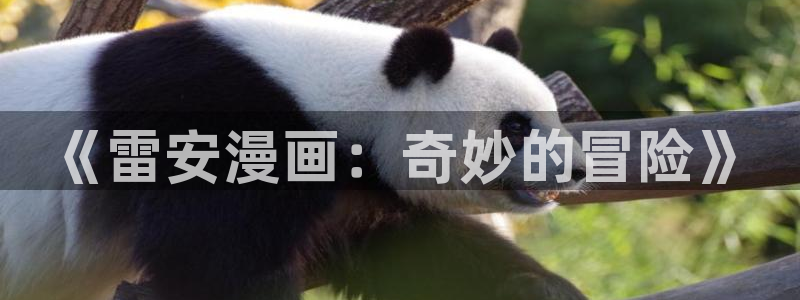 禁动漫天堂动漫网：《雷安漫画：奇妙的冒险》